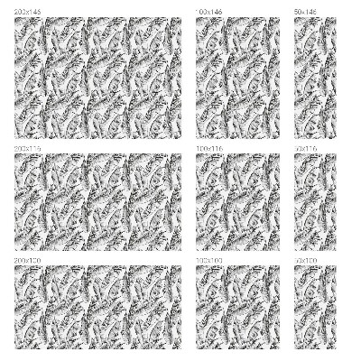 Dekoračná fólia na sklo vitráž Tropické listy