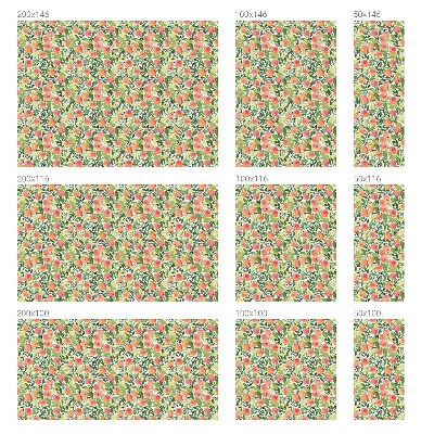 Fólia na okno na ochranu súkromia Ovocný vzor