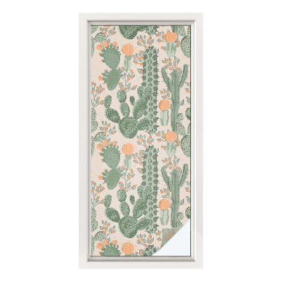 Privátna fólia na okno vitrážová Zelené sukulenty