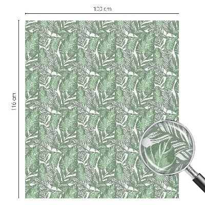 Samolepiaca fólia na sklo Zelená harmónia