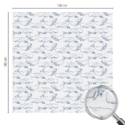 Fólia na okno na ochranu súkromia Morské inšpirácie