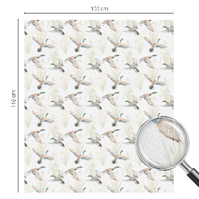 Fólia na okno na ochranu súkromia Vtáky príroda