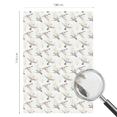 Fólia na okno na ochranu súkromia Vtáky príroda