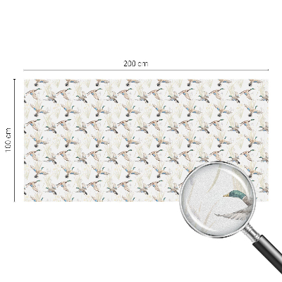 Fólia na okno na ochranu súkromia Vtáky príroda