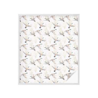 Fólia na okno na ochranu súkromia Vtáky príroda