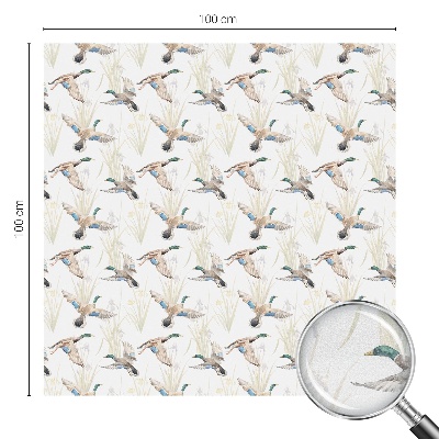 Fólia na okno na ochranu súkromia Vtáky príroda