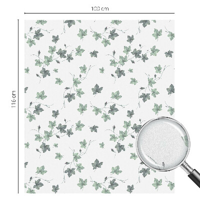 Dekoračná fólia na sklo vitráž Zelený vinič