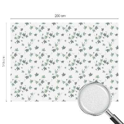 Dekoračná fólia na sklo vitráž Zelený vinič