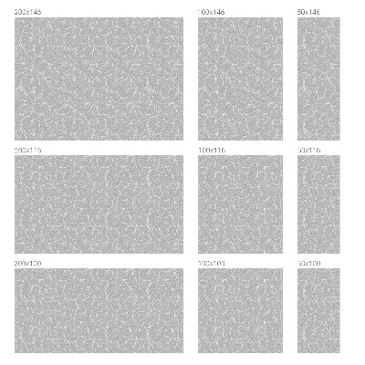 Dekoračná fólia na sklo vitráž Listová elegancia