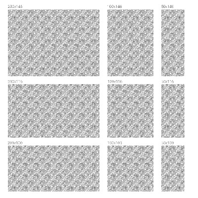 Fólia na okno na ochranu súkromia Klasické portréty