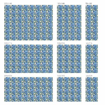 Fólia na okno na ochranu súkromia Kvetinové kúzlo