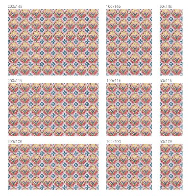 Fólia na okno na ochranu súkromia Kvetinové vzory