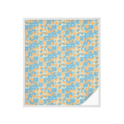 Fólia na okno na ochranu súkromia Rybí citrus