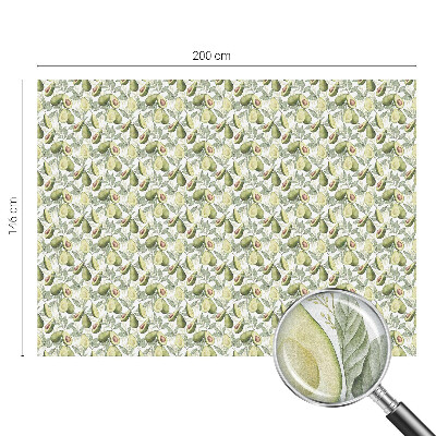 Privátna fólia na okno vitrážová Listy avokáda