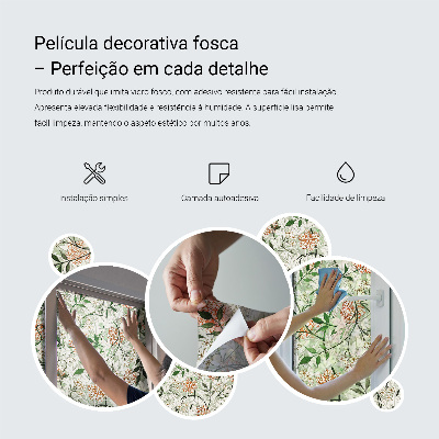 Samolepiaca fólia na sklo Boho perie