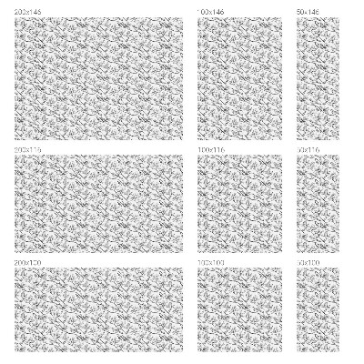 Samolepiaca fólia na sklo Vtáky a kvety