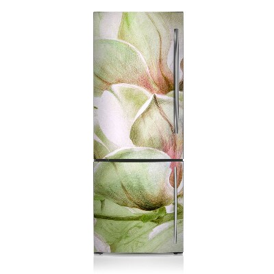 Dekoratívne magnety na chladničku Kvety magnolia