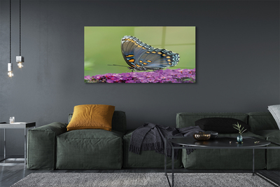 Obraz na akrylátovom skle Farebný motýľ na kvety