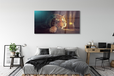Obraz na akrylátovom skle Tiger woods muž