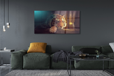 Obraz na akrylátovom skle Tiger woods muž