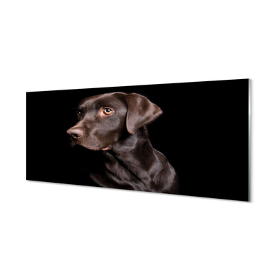 Obraz na akrylátovom skle Hnedý pes