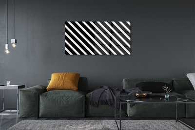 Obraz na akrylátovom skle Zebra pruhy