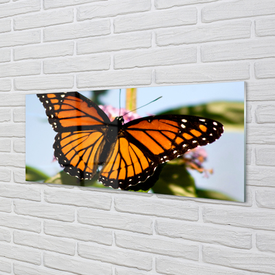 Obraz na akrylátovom skle Farebný motýľ