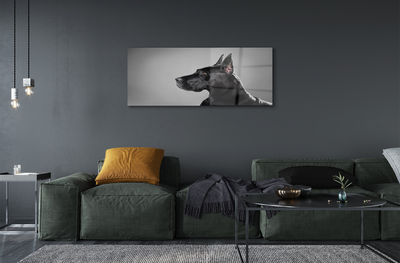 Obraz na akrylátovom skle Čierny pes