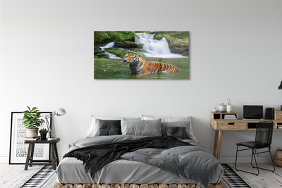Obraz na akrylátovom skle Tiger vodopád