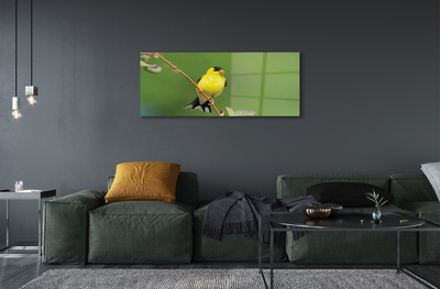 Obraz na akrylátovom skle Žltý papagáj