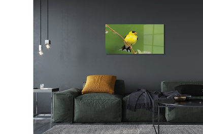 Obraz na akrylátovom skle Žltý papagáj