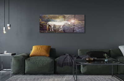 Obraz na akrylátovom skle Unicorn v lese