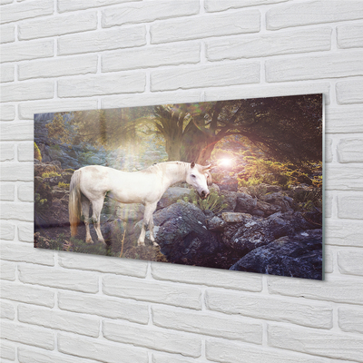 Obraz na akrylátovom skle Unicorn v lese