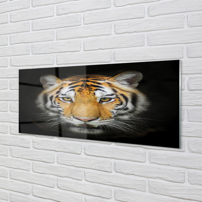 Obraz na akrylátovom skle Tiger