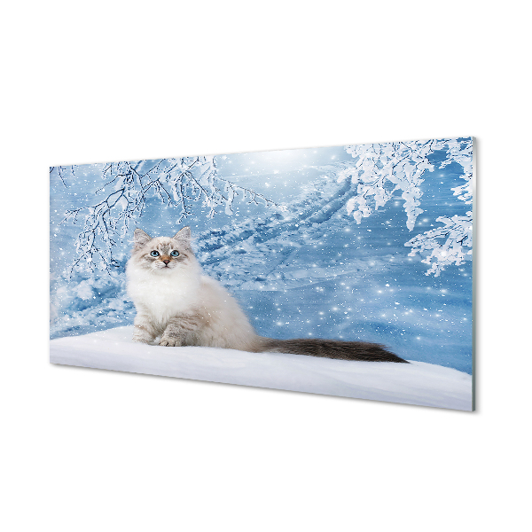 Obraz na akrylátovom skle Mačka zima