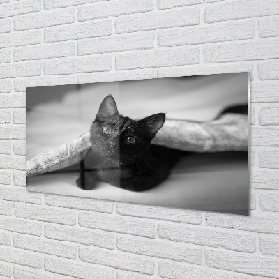 Obraz na akrylátovom skle Mačka pod prikrývkou