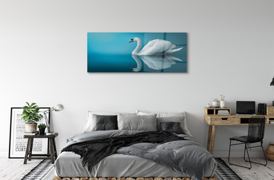 Obraz na akrylátovom skle Swan vo vode