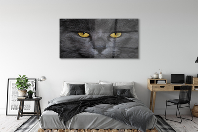 Obraz na akrylátovom skle Čierna mačka