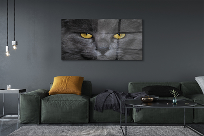Obraz na akrylátovom skle Čierna mačka