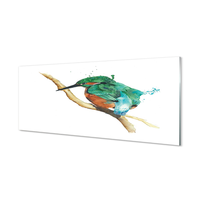 Obraz na akrylátovom skle Farebné maľované papagáj