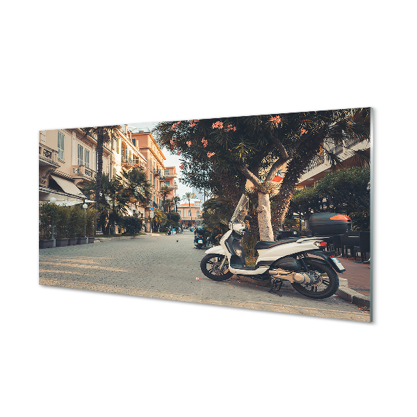 Obraz plexi Mestské motocykle palmového leta