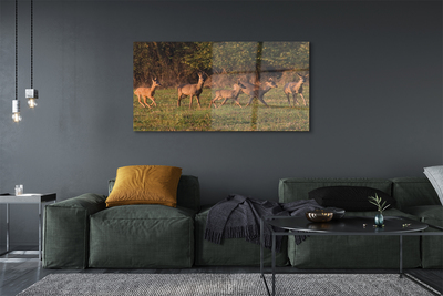 Obraz na akrylátovom skle Deer golf svitania