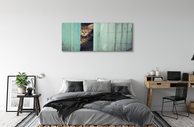 Obraz na akrylátovom skle Zaglądający cat