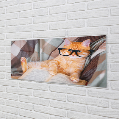 Obraz na akrylátovom skle Čitateľ cat