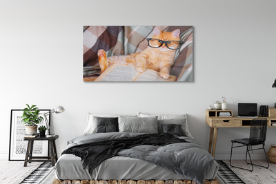 Obraz na akrylátovom skle Čitateľ cat