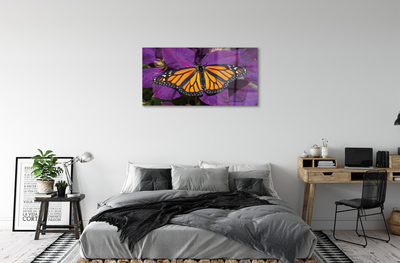 Obraz na akrylátovom skle Farebný motýľ kvety