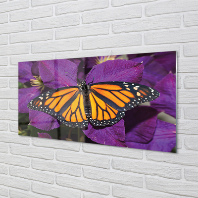 Obraz na akrylátovom skle Farebný motýľ kvety