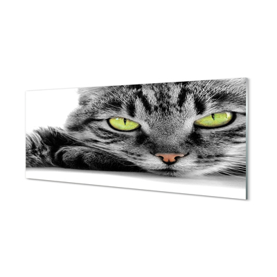 Obraz na akrylátovom skle Šedočierna mačka