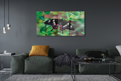Obraz na akrylátovom skle List farebný motýľ