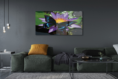 Obraz na akrylátovom skle Motýľ kvetina